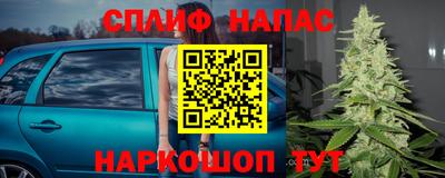 ГАЛЛЮЦИНОГЕННЫЕ ГРИБЫ Кунгур
