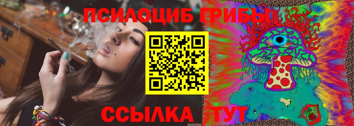 Псилоцибиновые грибы Cubensis  Вход с VPN  Узловая 